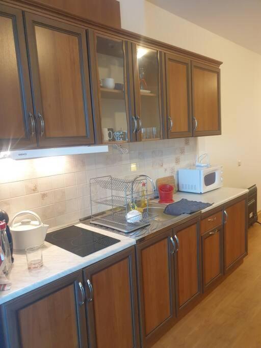 Studio Silver Terace With Sea View For 4 Person เบียลา ภายนอก รูปภาพ